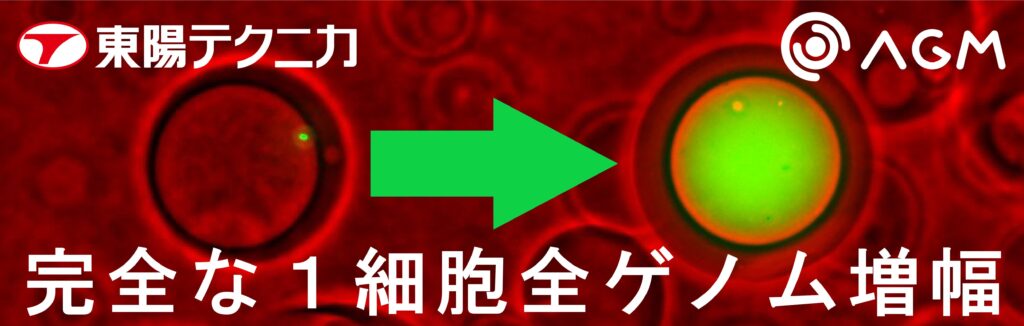 株式会社東陽テクニカ